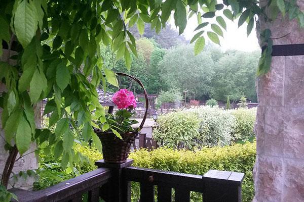 Guest House Pekliuk Gulubovtsi Экстерьер фото
